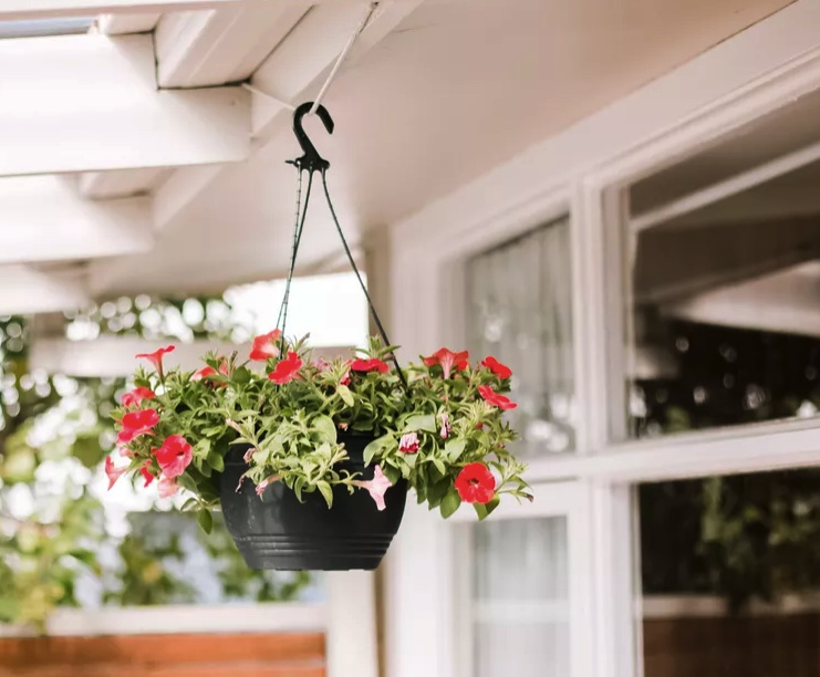 Hanging planter