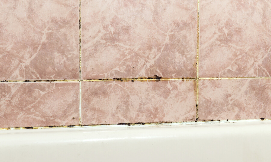 Mold in grout and tiles.