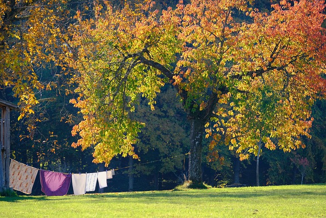 Outdoor View